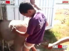 Porno with donkey man fucking donkey on animal sex scene